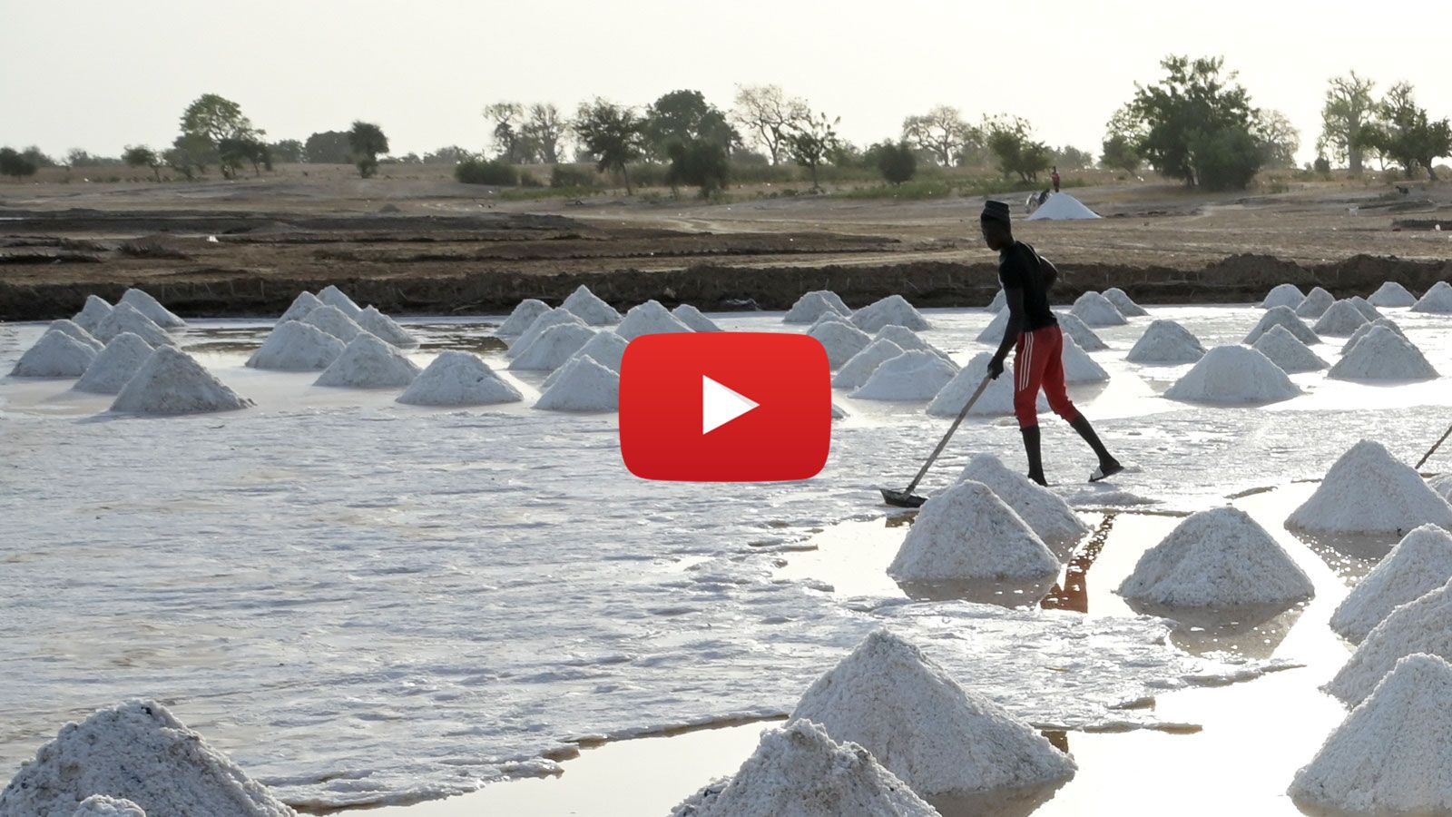 Ein Mann arbeitet auf einem Salzfeld im Senegal