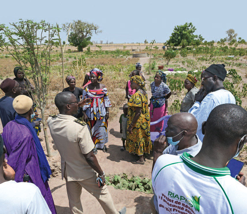 4 2021 reportage senegal frauen brunnen