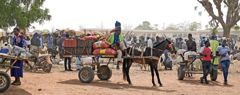 4 2021 reportage senegal markt