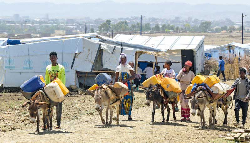 2 2025 Reportage Tigray5