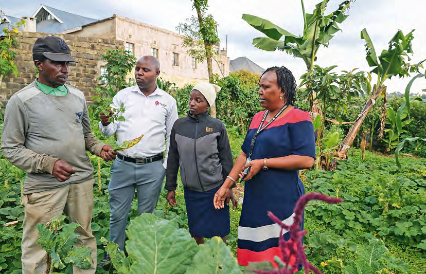 Ein Vertreter der Caritas Nairobi sowie Caroline Hinga, ihr Vater und eine weitere Person stehen in einem urbanen Garten und schauen sich die Gemüsepflanzen an.