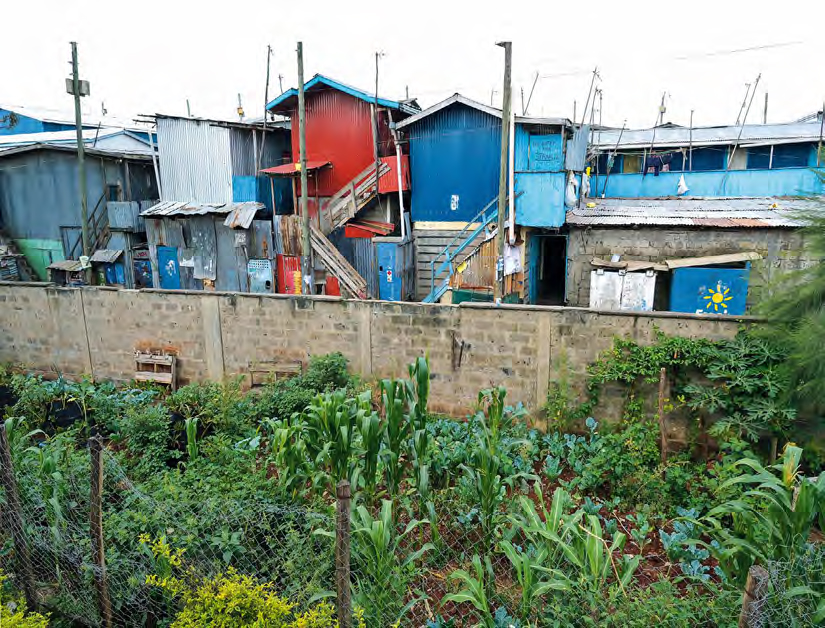 Direkt hinter der Mauer, die den urbanen Garten umgibt, beginnt der Slum mit seinen informellen Bauten.