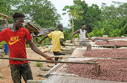 Elfenbeinküste Schokoladenherstellung 1