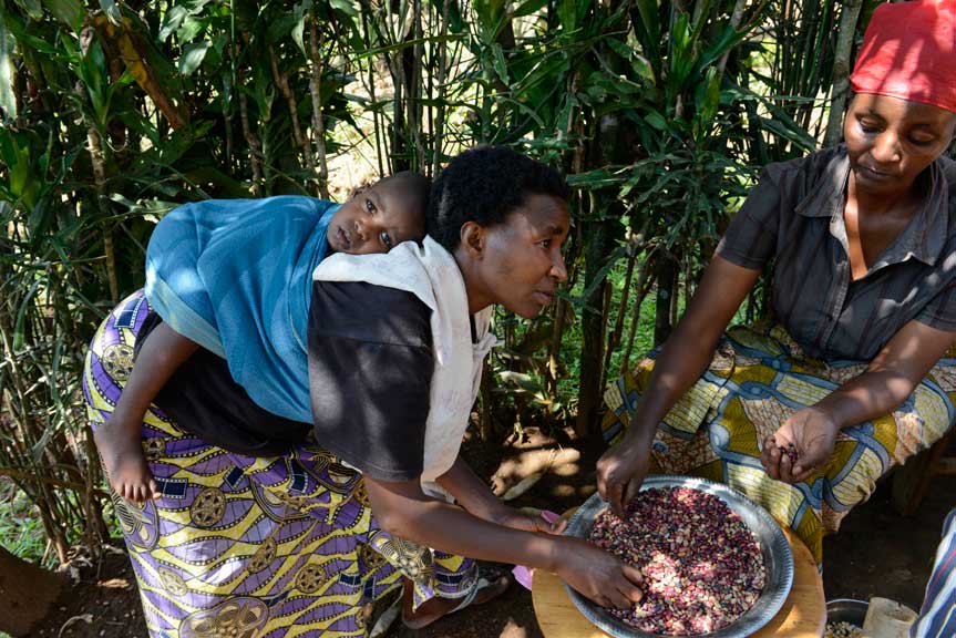 Burundi: Aufbau eines Bauernhofs