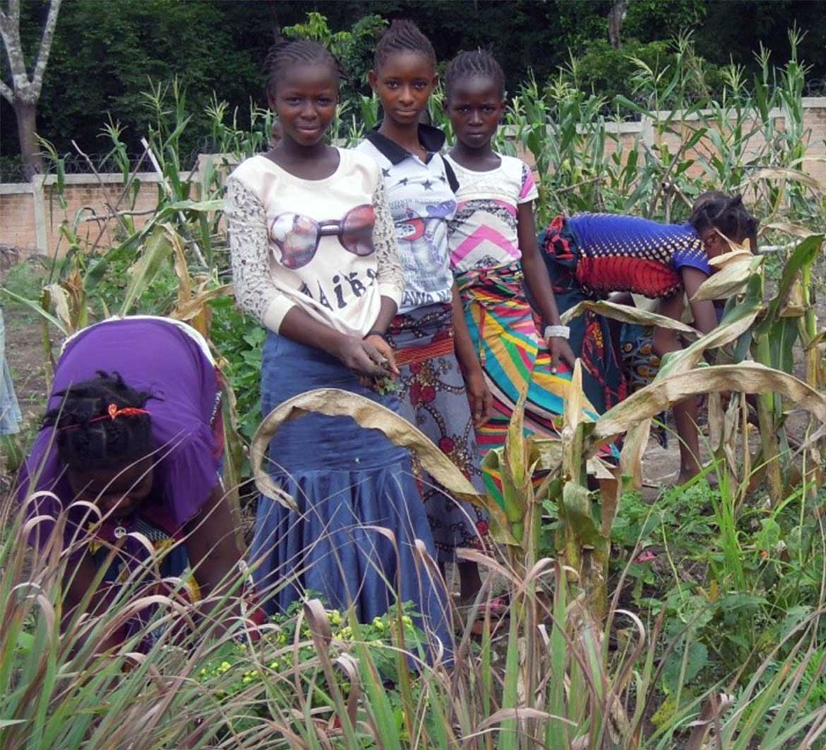 Guinea Pastorales Landwirtschaftszentrum 5