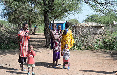 Kenia: Aufbau einer Schafzucht