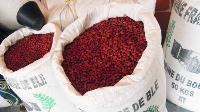 Guinea: Mit wenig viel produzieren durch nachhaltigen Landbau