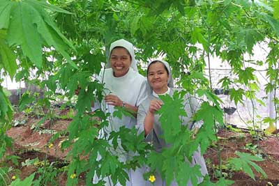 Philippinen: &Ouml;kologische Landwirtschaft f&ouml;rdern