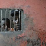 Zwei Gefangene aus Madagaskar blicken aus einem kleinen vergitterten Fenster nach draußen.