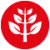 Icon für "Schöpfung bewahren": zu sehen ist eine gezeichnete Pflanze..