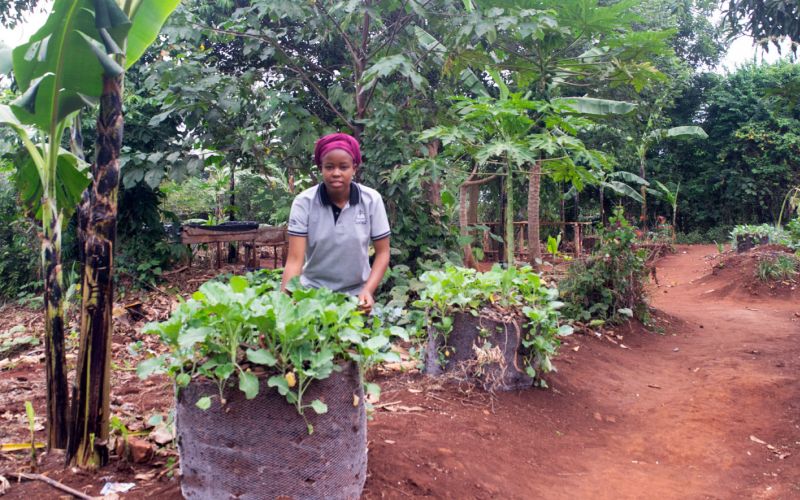 Eine Farmerin zwischen ihren Anbauflächen