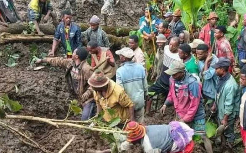 Männer stehen zwischen Schlamm und abgebrochenen Ästen und versuchen Überlebende nach den Erdrutschen in Äthiopien zu finden.