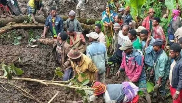 Männer stehen zwischen Schlamm und abgebrochenen Ästen und versuchen Überlebende nach den Erdrutschen in Äthiopien zu finden.