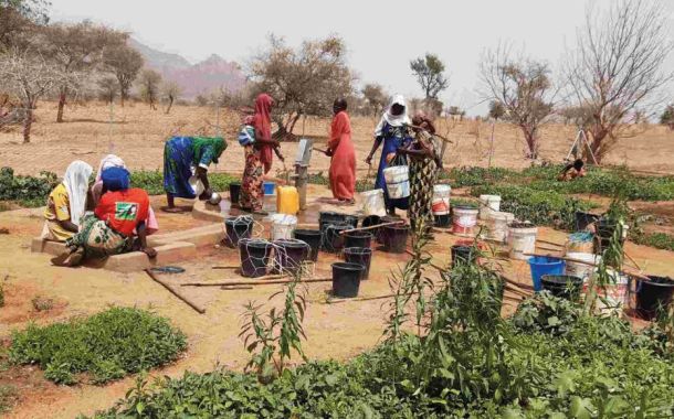 Gemüseanbau in den "Gärten der Hoffnung"