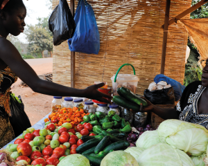 Ein Gemüsestand in Burkina Faso unter anderem mit Kohl, Gurken, Tomaten und Paprika. Hinter dem Stand sitzt eine Verkäuferin, die einer Kundin vor dem Stand die Ware übergibt.
