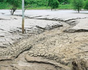 Von Dürre gezeichnete Landschaft in der Region Borana in Äthiopien.