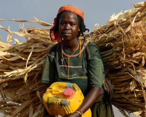 Eine Frau trägt Getreide auf dem Rücken.