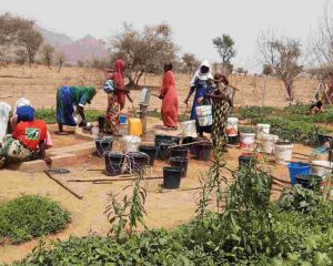 Frauen stehen und sitzen auf einem bewirtschafteten Stück Land. Viele Eimer in verschiedenen Farben stehen am Boden. Im Hintergrund trockene Flächen und verdorrte Bäume.