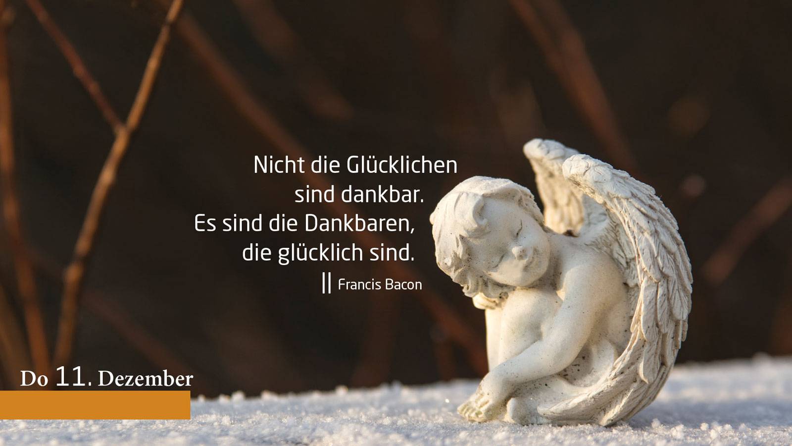 Eine weiße Engelsfigur, die zu schlafen scheint, steht auf einem verschneiten Untergrund. Vor dunklem Hintergrund ist ein Sinnspruch von Francis Bacon zu lesen: "Nicht die Glücklichen sind dankbar. Es sind die Dankbaren, die glücklich sind."