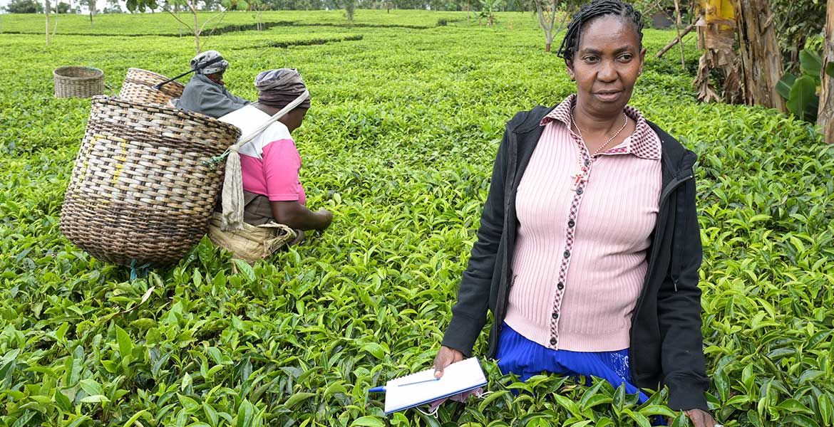 Domitila Mwelu Kaluki auf einer Teeplantage in Kenia