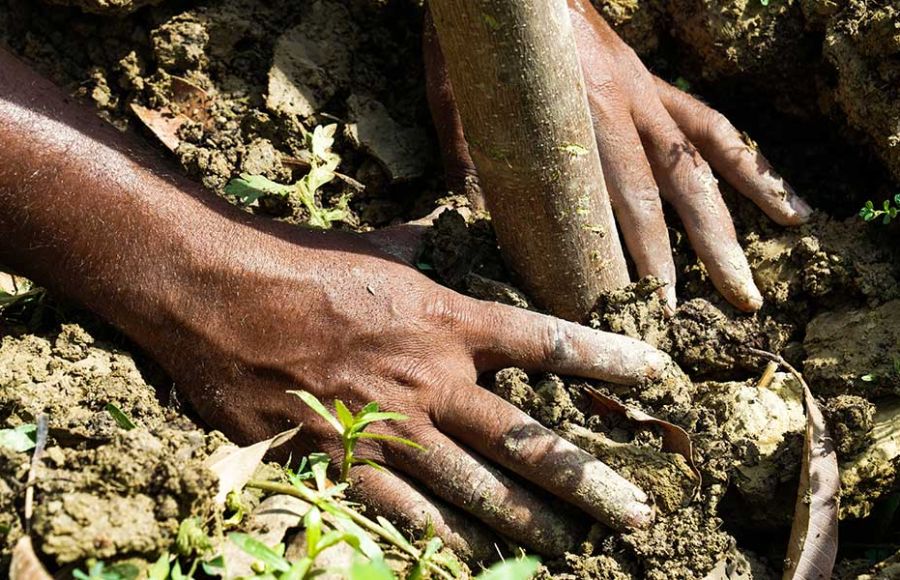 Das "Laudato Si in Action"-Projekt in Varanasi schützt Klima und Umwelt.