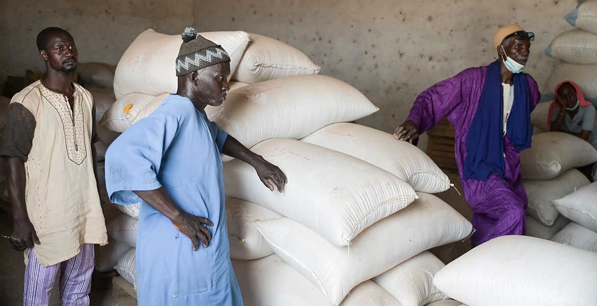 Getreidelager in Kenia - die Preise sind durch den Krieg in die Höhe geschossen