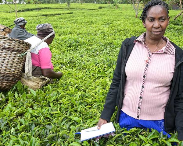 Domitila Mwelu Kaluki auf einer Teeplantage in Kenia