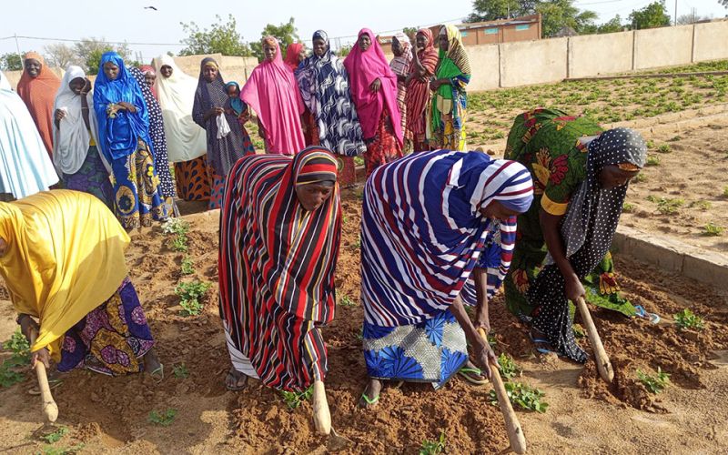 Landwirtschaftsprojekt für 200 Frauen